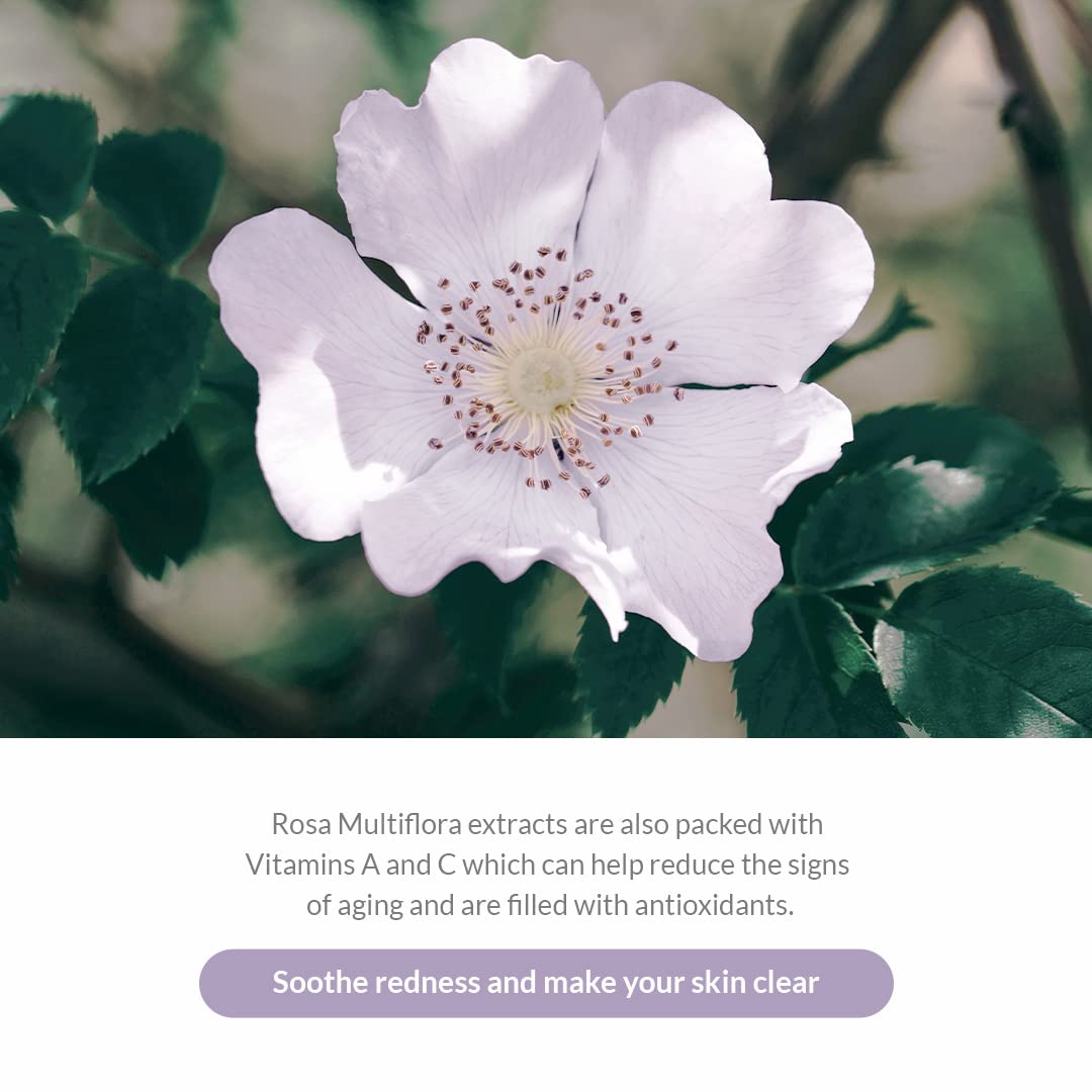 Dr.Althea Premium Rosa Modeling Mask - Measuring spoon and spatula included, 25g x 5 ea, Cooling effect, Hydration, Skin barrier enhancement. Soothe the redness. Vegan & Cruelty free Modeling Mask